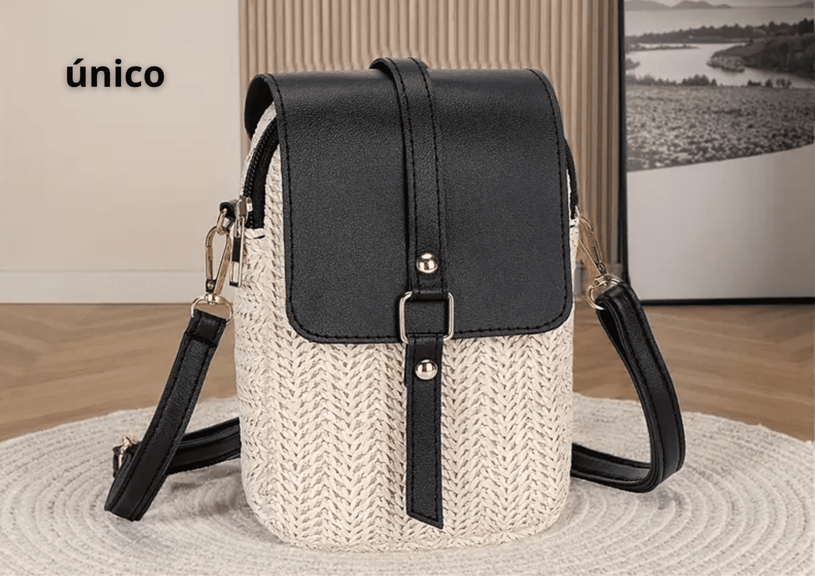 Bolso Mochila - 1